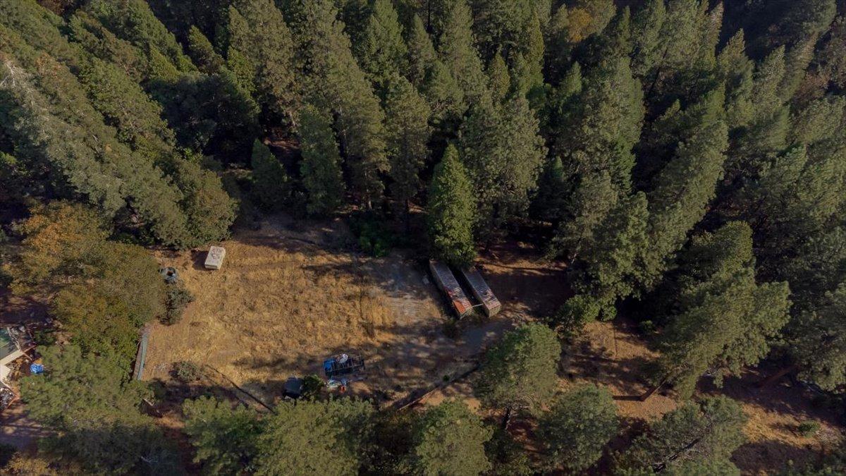 5727 Starkes Grade Road Pollock Pines, CA 95726 - Photo 25 of 31 a view of a forest with trees