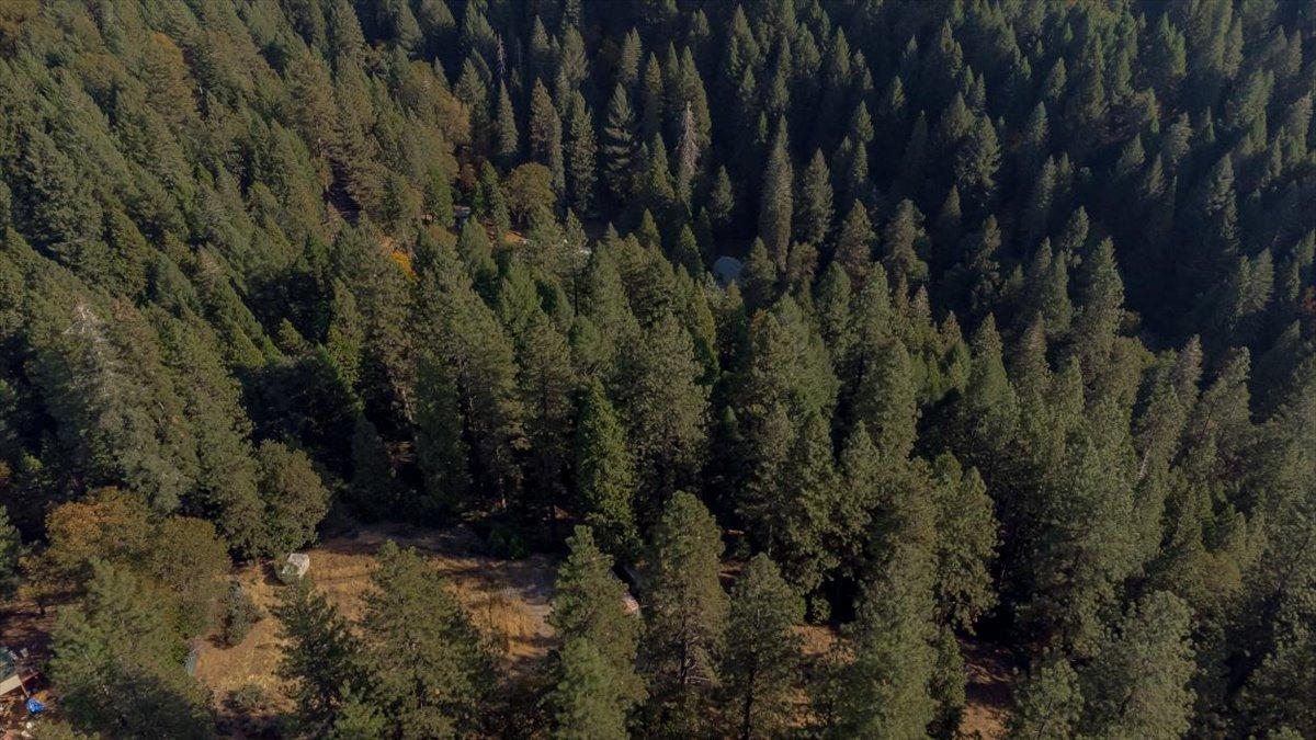 5727 Starkes Grade Road Pollock Pines, CA 95726 - Photo 27 of 31 a view of a yard