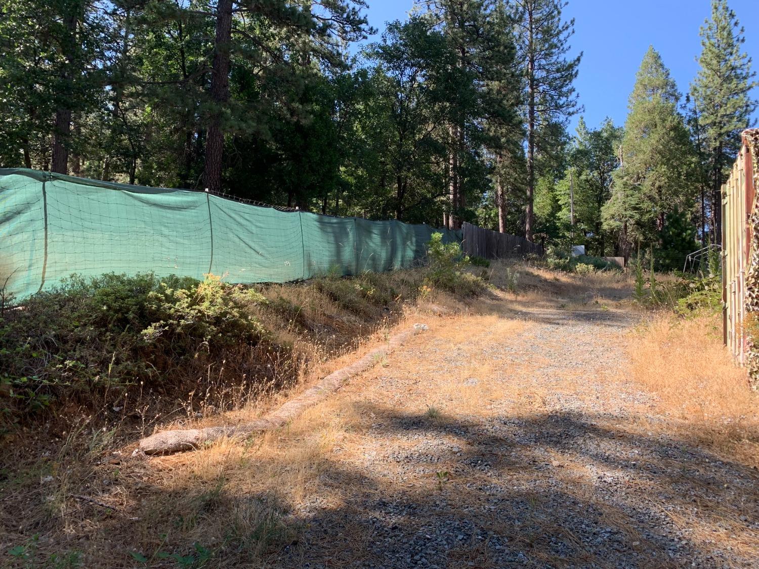 5727 Starkes Grade Road Pollock Pines, CA 95726 - Photo 6 of 31 a view of a backyard