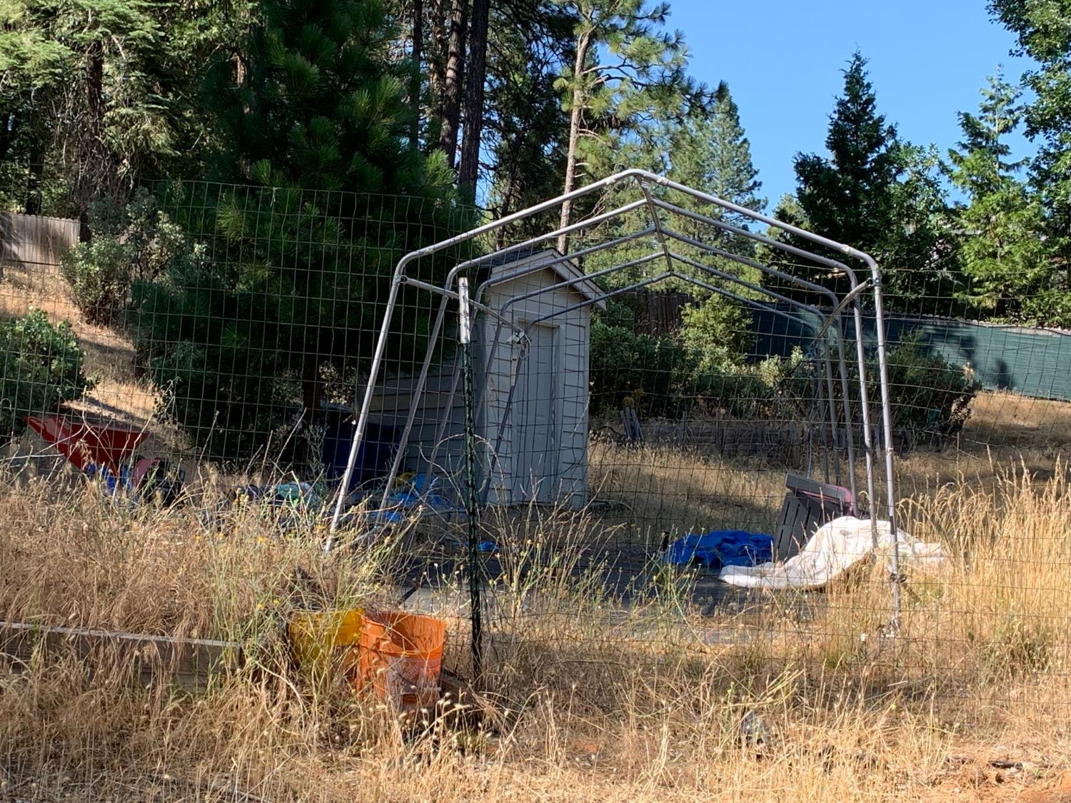 5727 Starkes Grade Road Pollock Pines, CA 95726 - Photo 8 of 31 a backyard of a house with lots of green space
