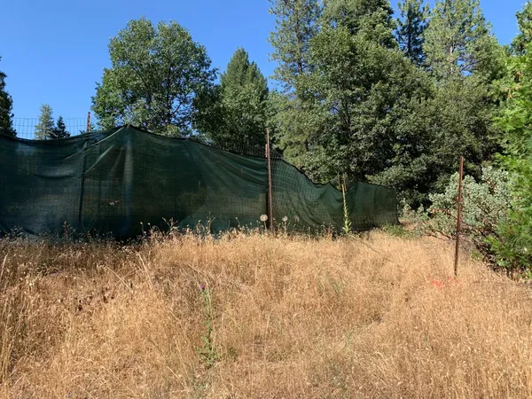 a view of a backyard