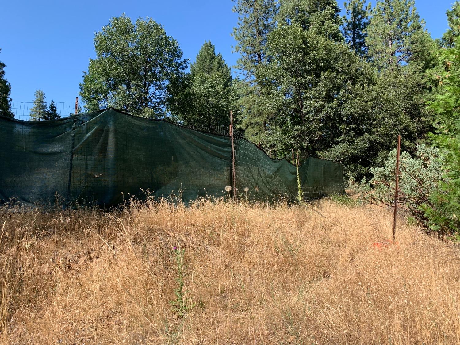 5727 Starkes Grade Road Pollock Pines, CA 95726 - Photo 9 of 31 a view of a backyard