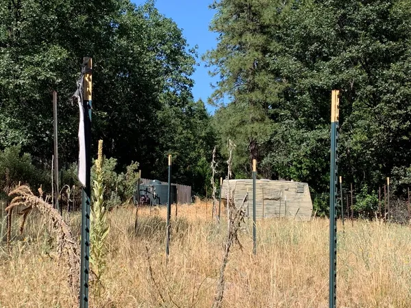 a backyard of a house with lots of green space and plants