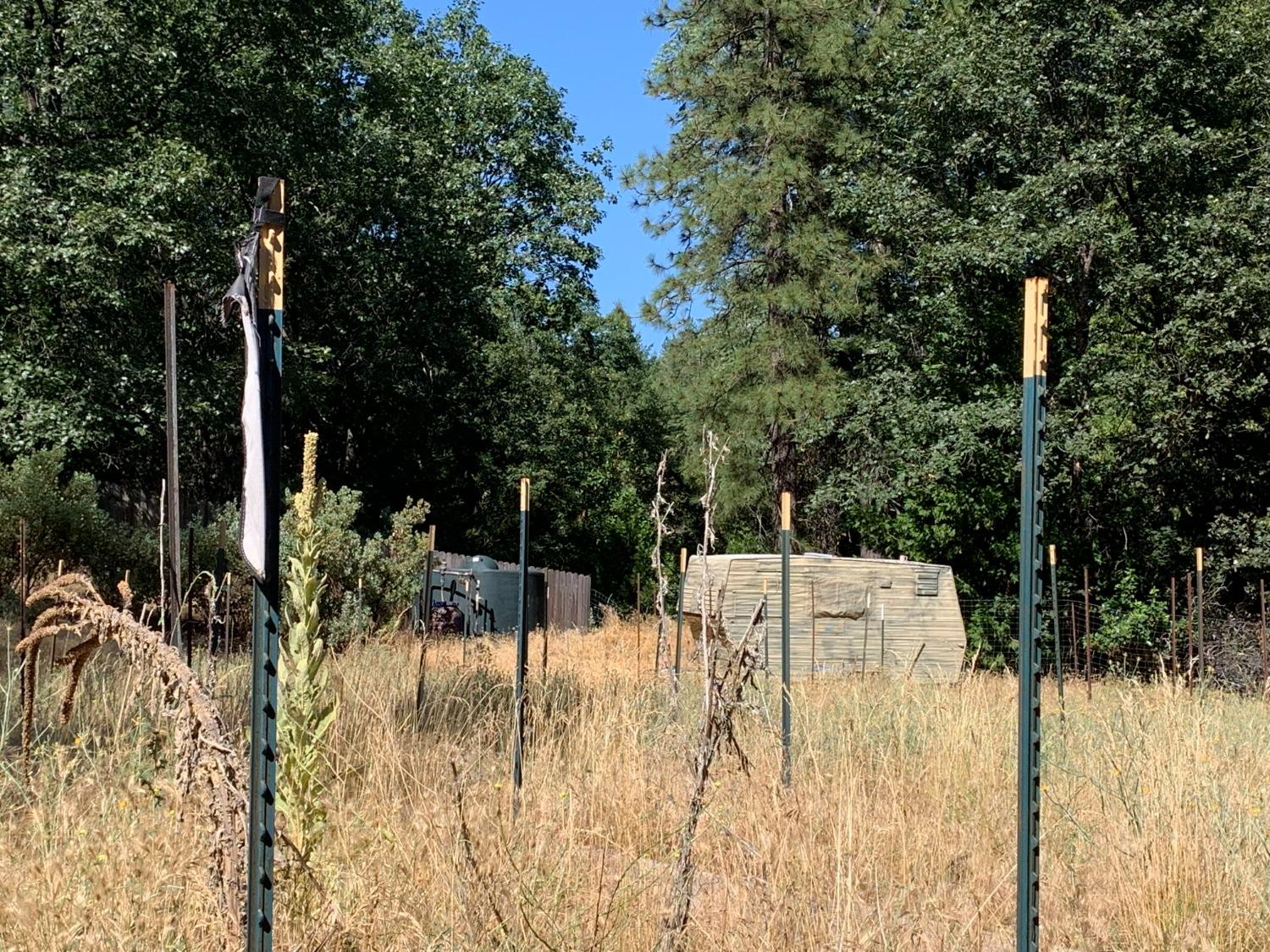 5727 Starkes Grade Road Pollock Pines, CA 95726 - Photo 10 of 31