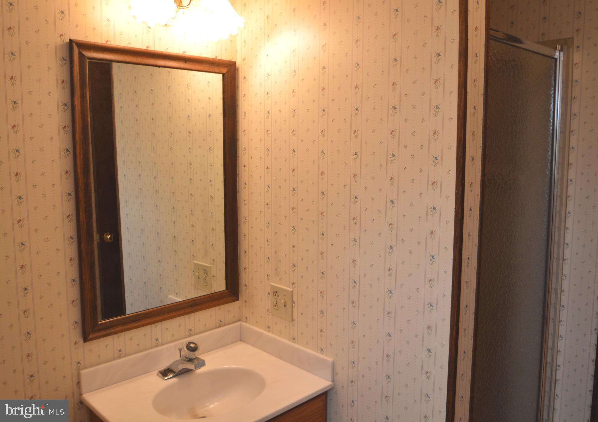 901 Cool Spring Road Manheim, PA 17545 - Photo 36 of 49 Full bath - upstairs
