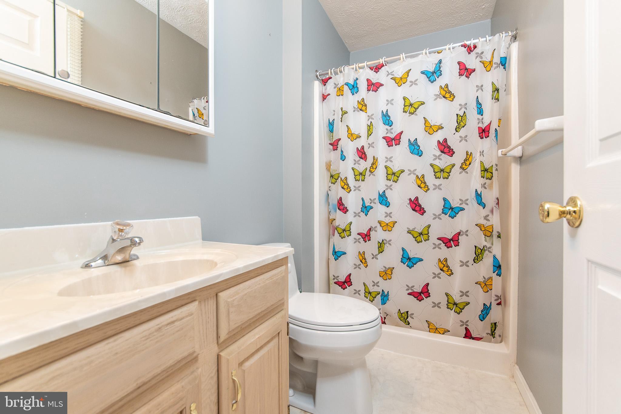 267 Skyline Drive Conowingo, MD 21918 - Photo 29 of 45 Bath Master