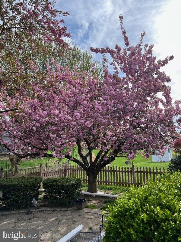1016 Teakwood Lane Enola, PA 17025 - Photo 36 of 37 Spring flowering trees