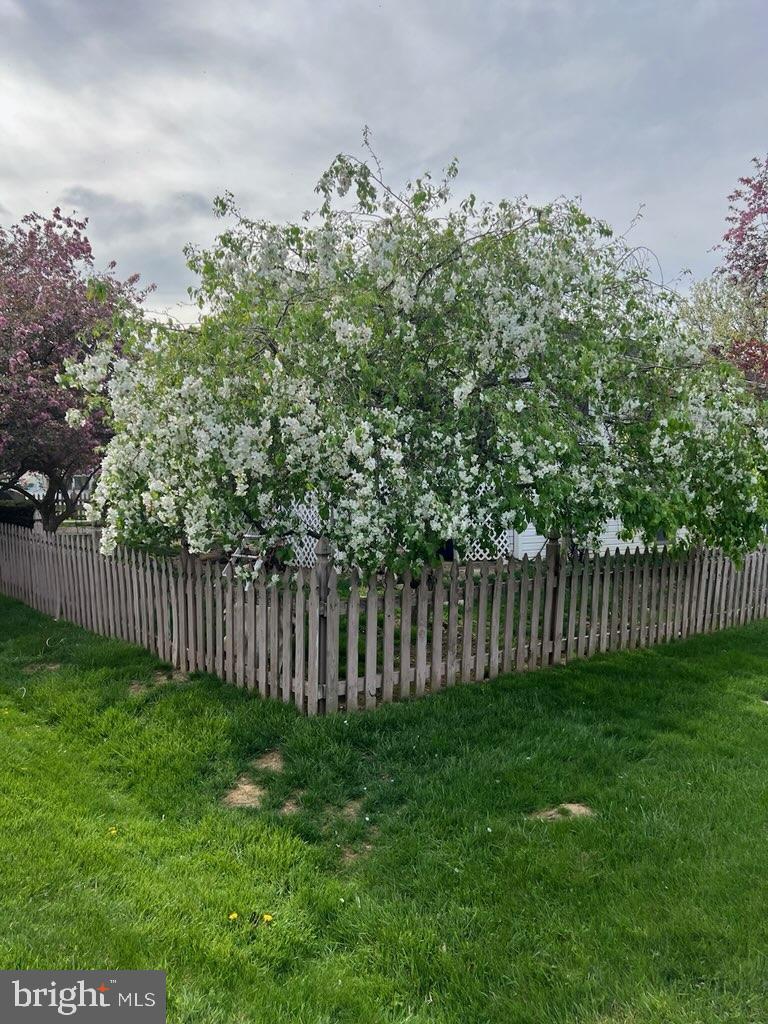 1016 Teakwood Lane Enola, PA 17025 - Photo 37 of 37 Spring flowering trees