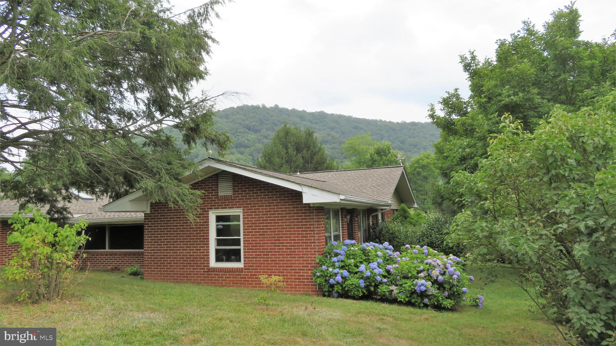 509 Fodderstack Road Huntly, VA 22640 - Photo 38 of 78 Back yard
