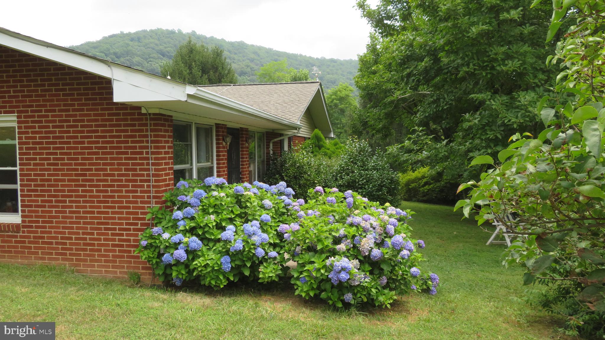 509 Fodderstack Road Huntly, VA 22640 - Photo 40 of 78 Side Yard