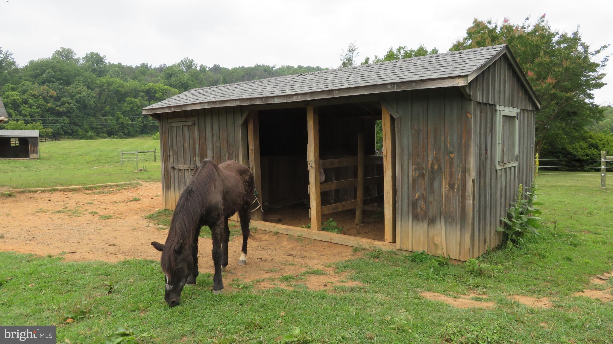 509 Fodderstack Road Huntly, VA 22640 - Photo 54 of 78 Lower Run-in Shed