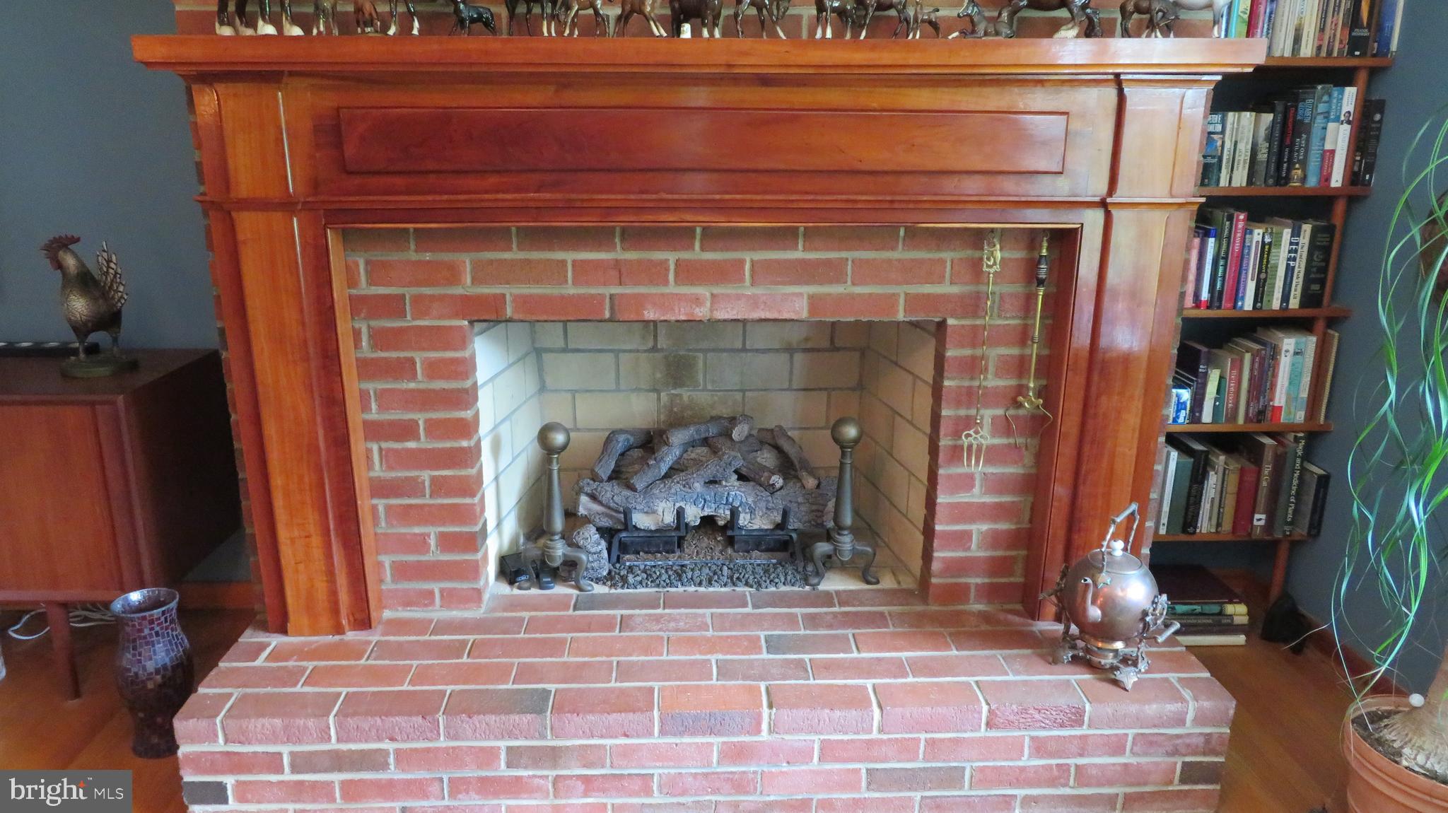 509 Fodderstack Road Huntly, VA 22640 - Photo 7 of 78 Woodburning fireplace with gas insert