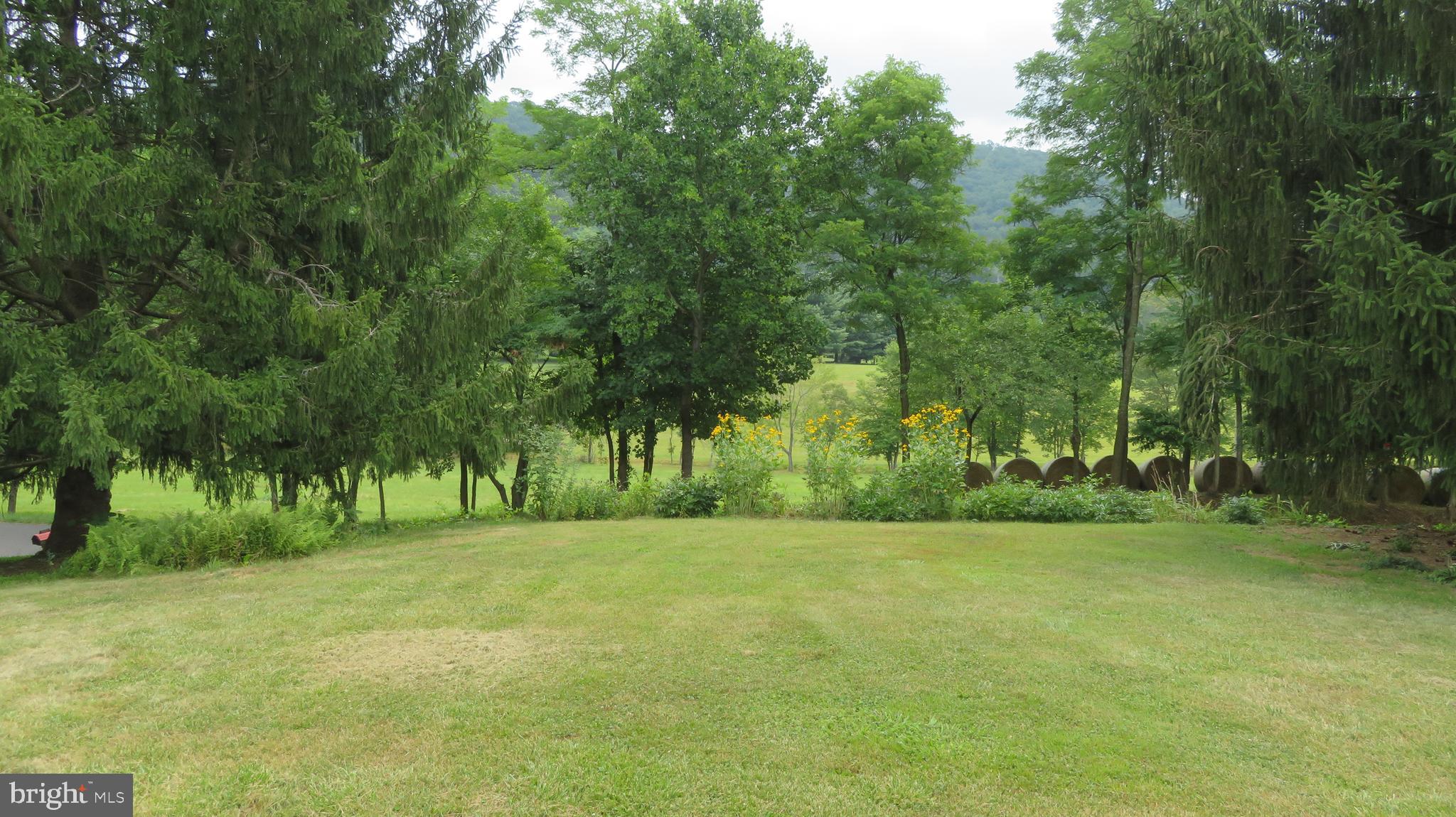 509 Fodderstack Road Huntly, VA 22640 - Photo 63 of 78 Front Lawn