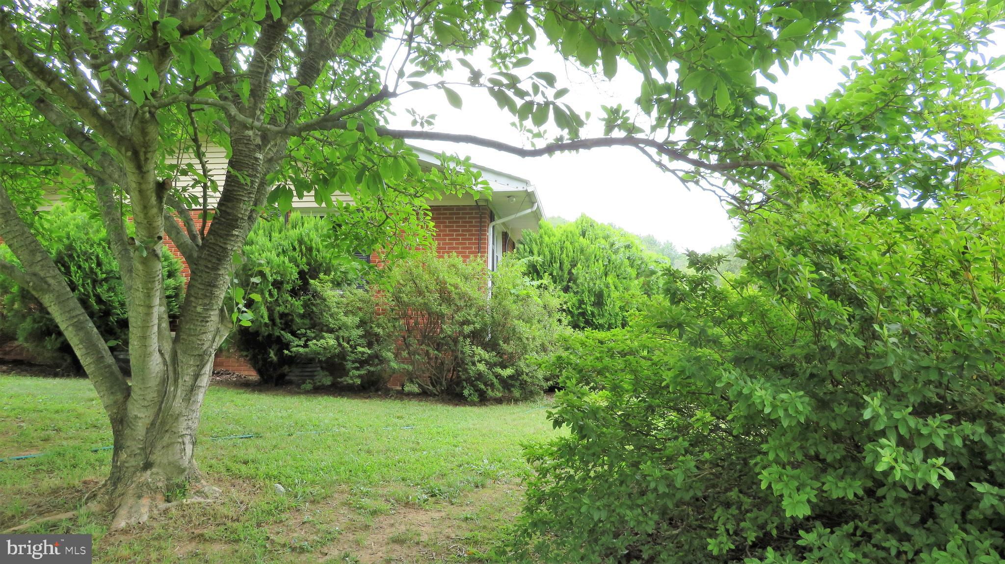 509 Fodderstack Road Huntly, VA 22640 - Photo 64 of 78 Side Lawn