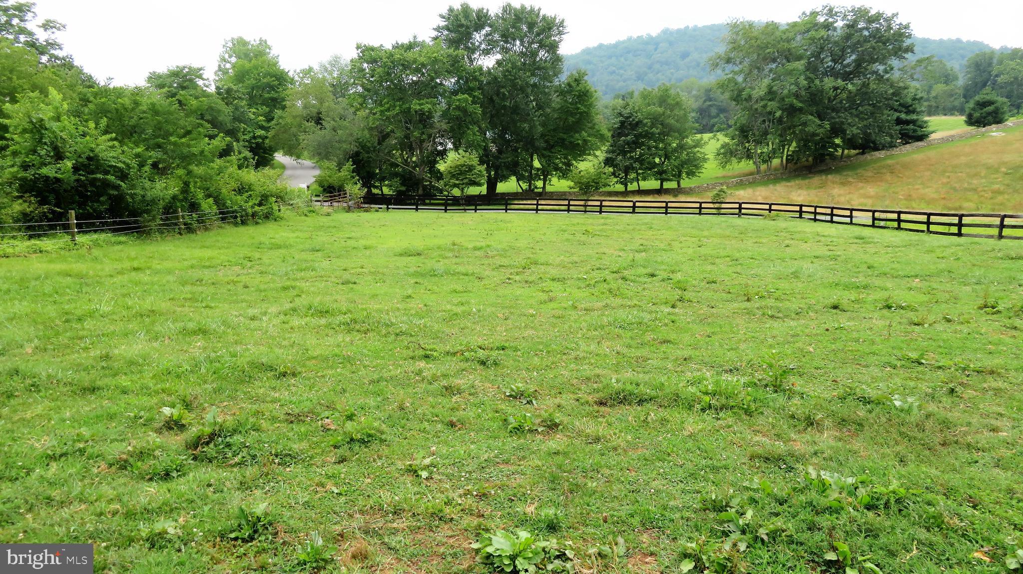 509 Fodderstack Road Huntly, VA 22640 - Photo 66 of 78 Lower paddock