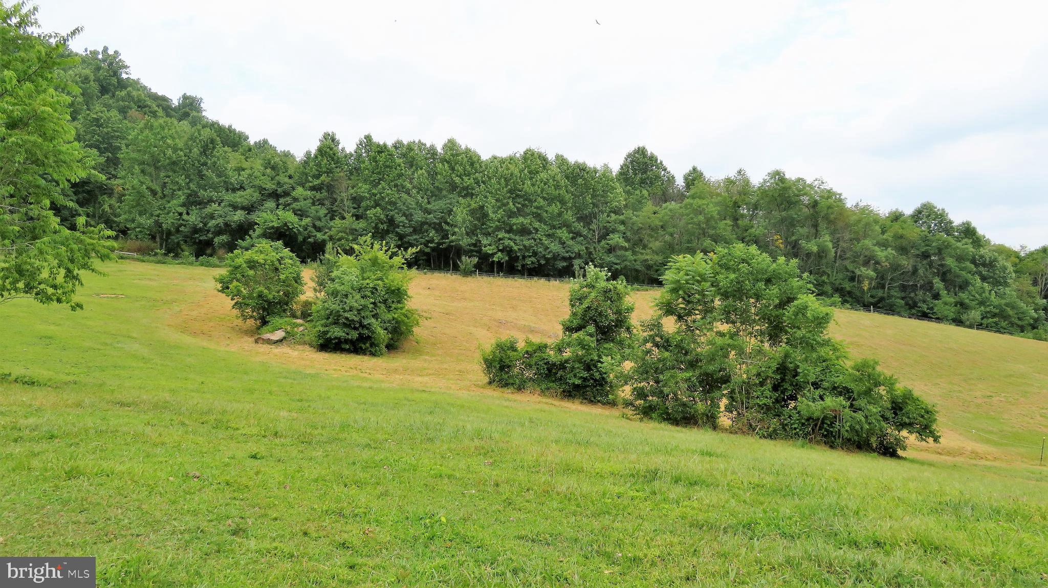 509 Fodderstack Road Huntly, VA 22640 - Photo 67 of 78 Middle Paddock
