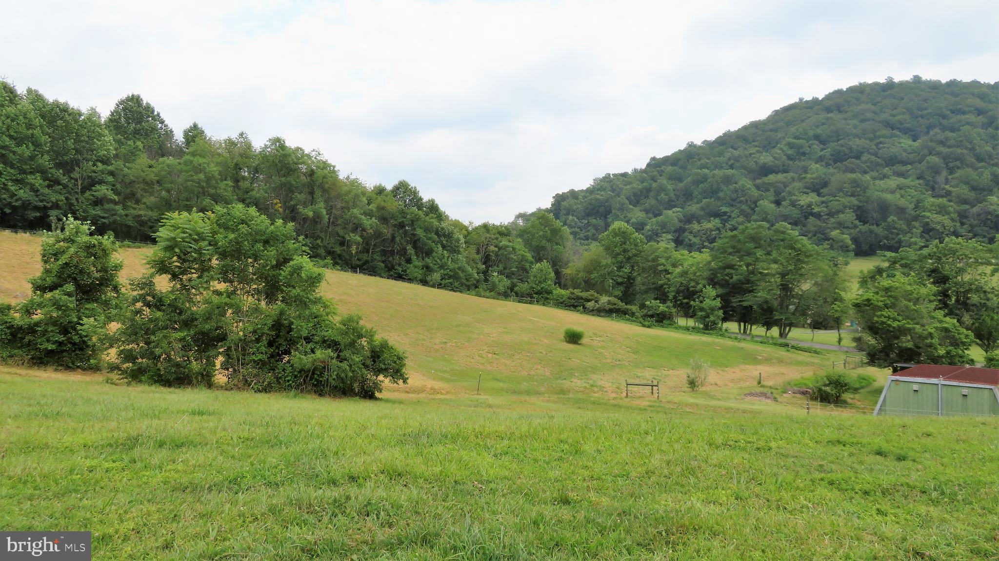 509 Fodderstack Road Huntly, VA 22640 - Photo 68 of 78 Upper Paddock