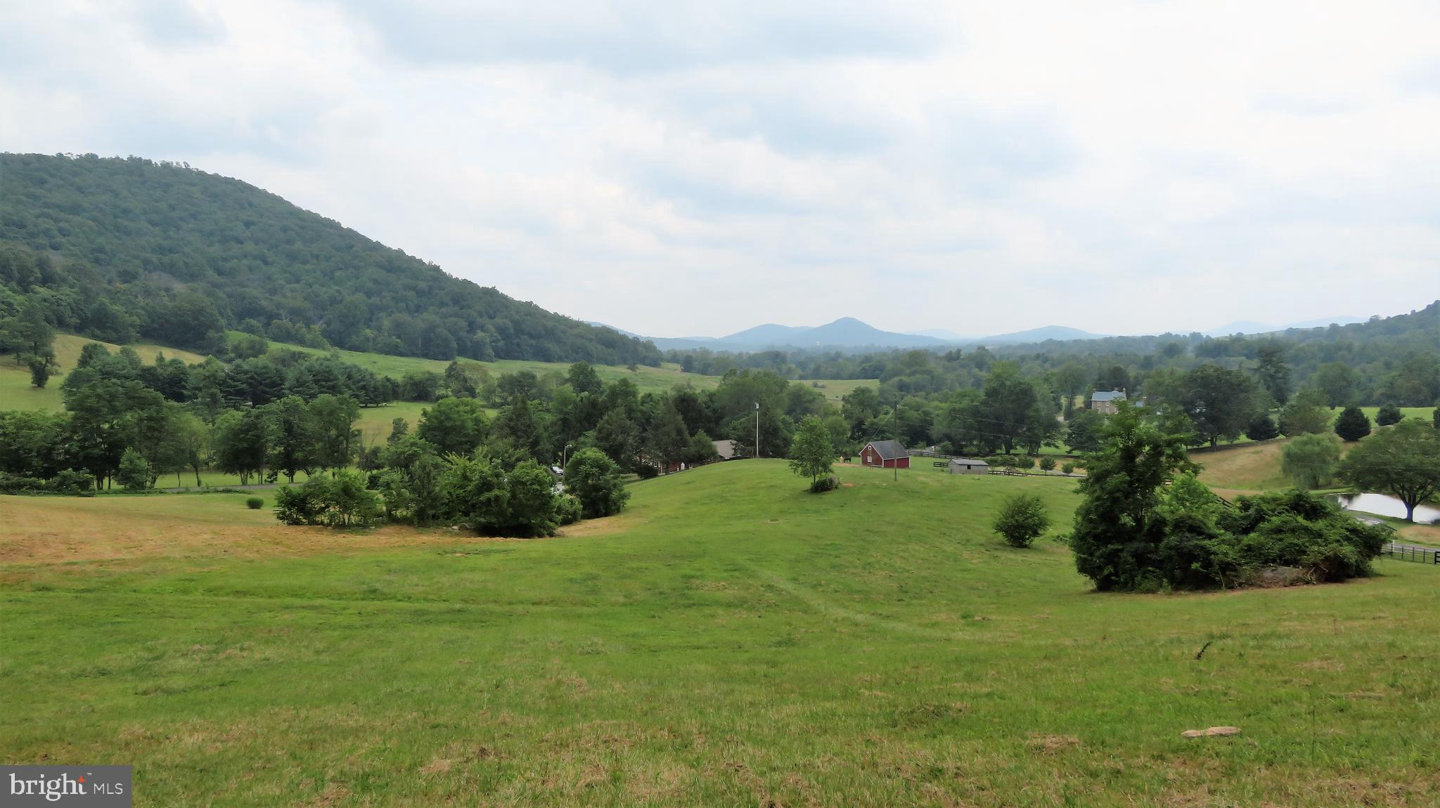 509 Fodderstack Road Huntly, VA 22640 - Photo 69 of 78 Upper Paddock