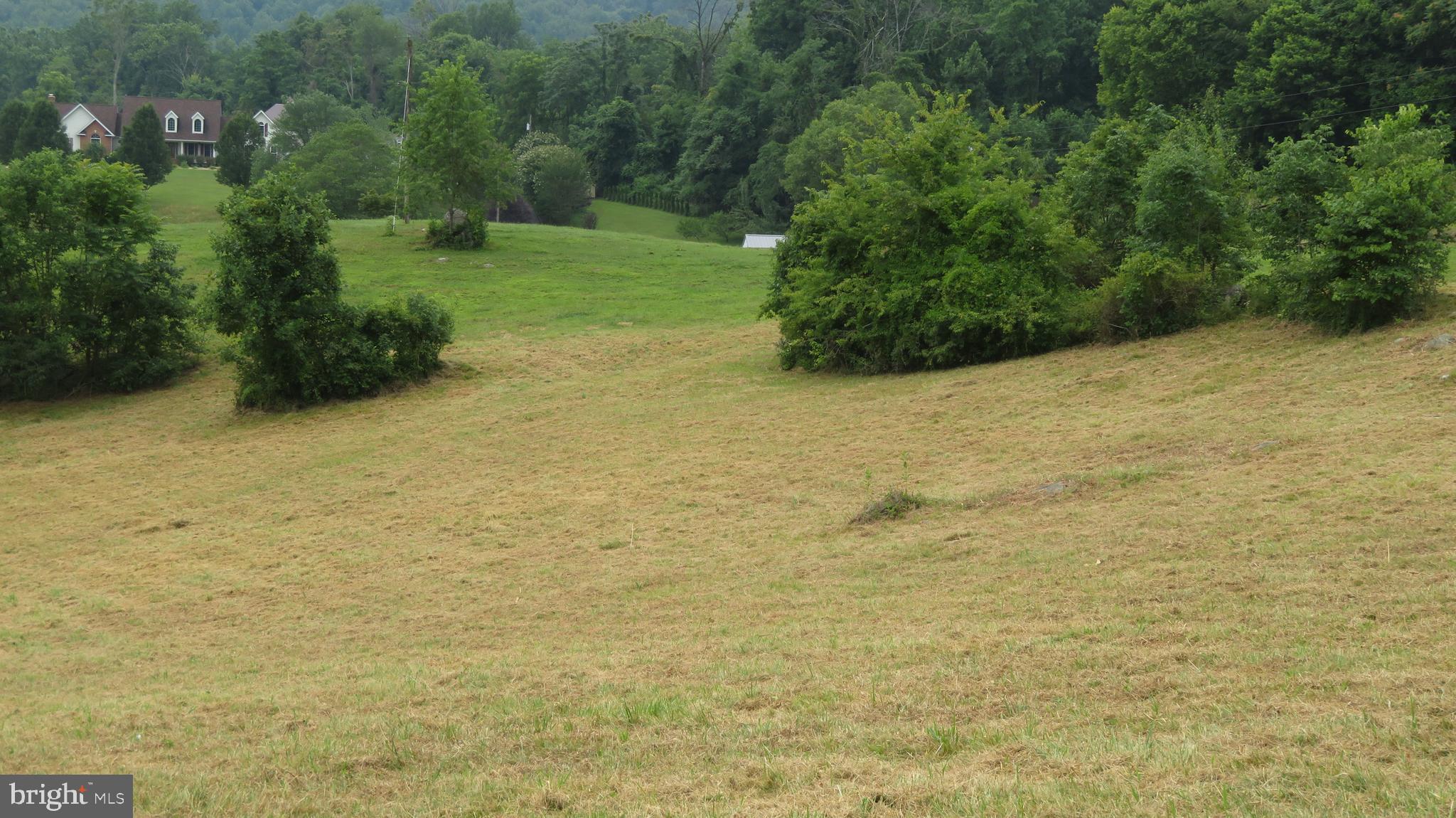 509 Fodderstack Road Huntly, VA 22640 - Photo 72 of 78 Middle Paddock