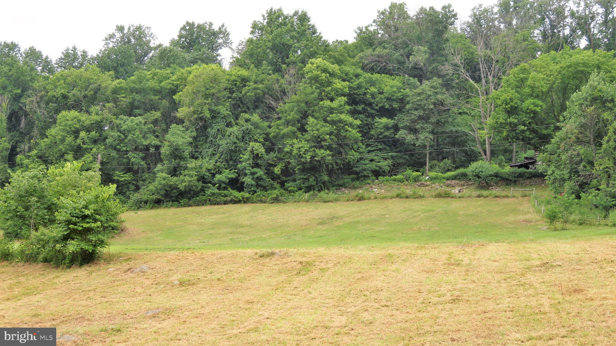 509 Fodderstack Road Huntly, VA 22640 - Photo 73 of 78 Upper Paddock