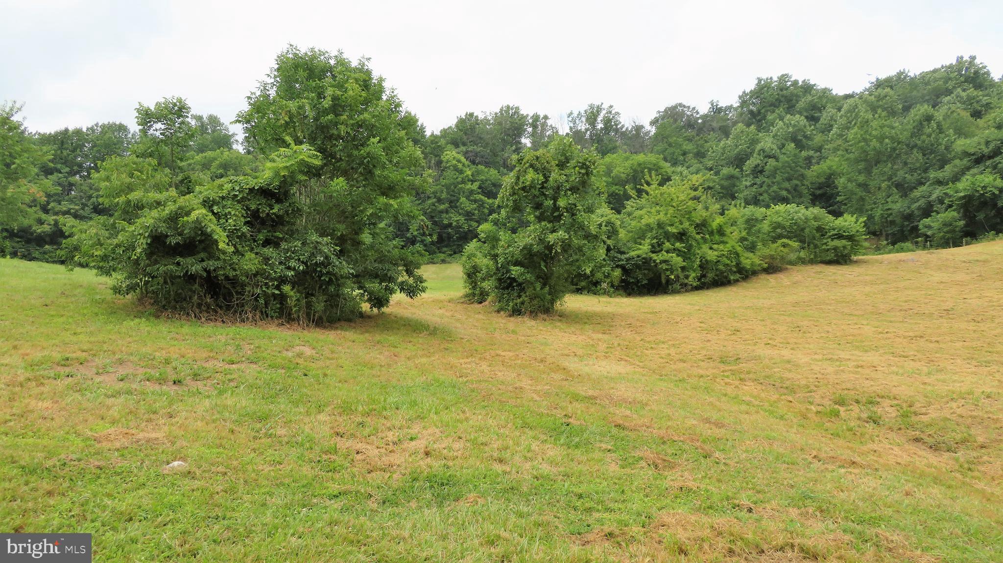 509 Fodderstack Road Huntly, VA 22640 - Photo 75 of 78 Middle Paddock