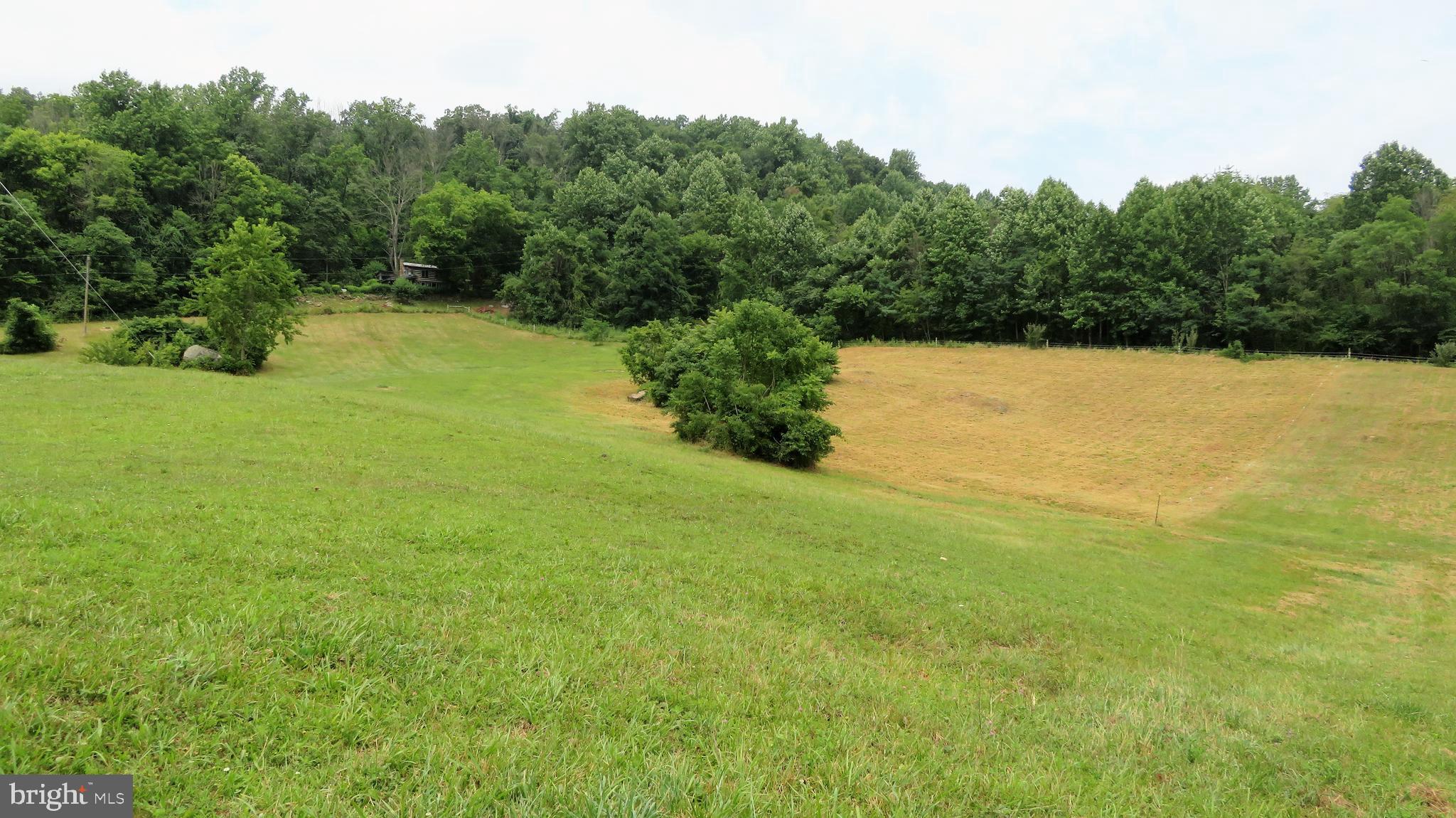 509 Fodderstack Road Huntly, VA 22640 - Photo 76 of 78 Middle Paddock