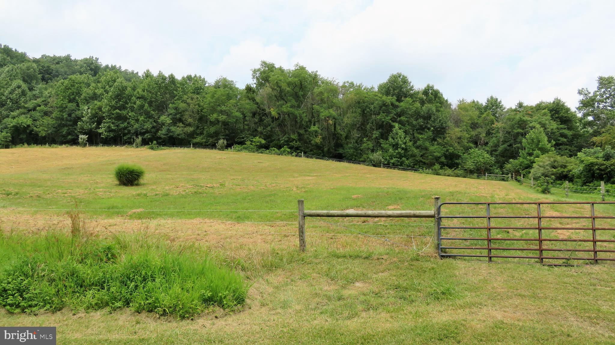509 Fodderstack Road Huntly, VA 22640 - Photo 78 of 78 Gate in Front Paddock