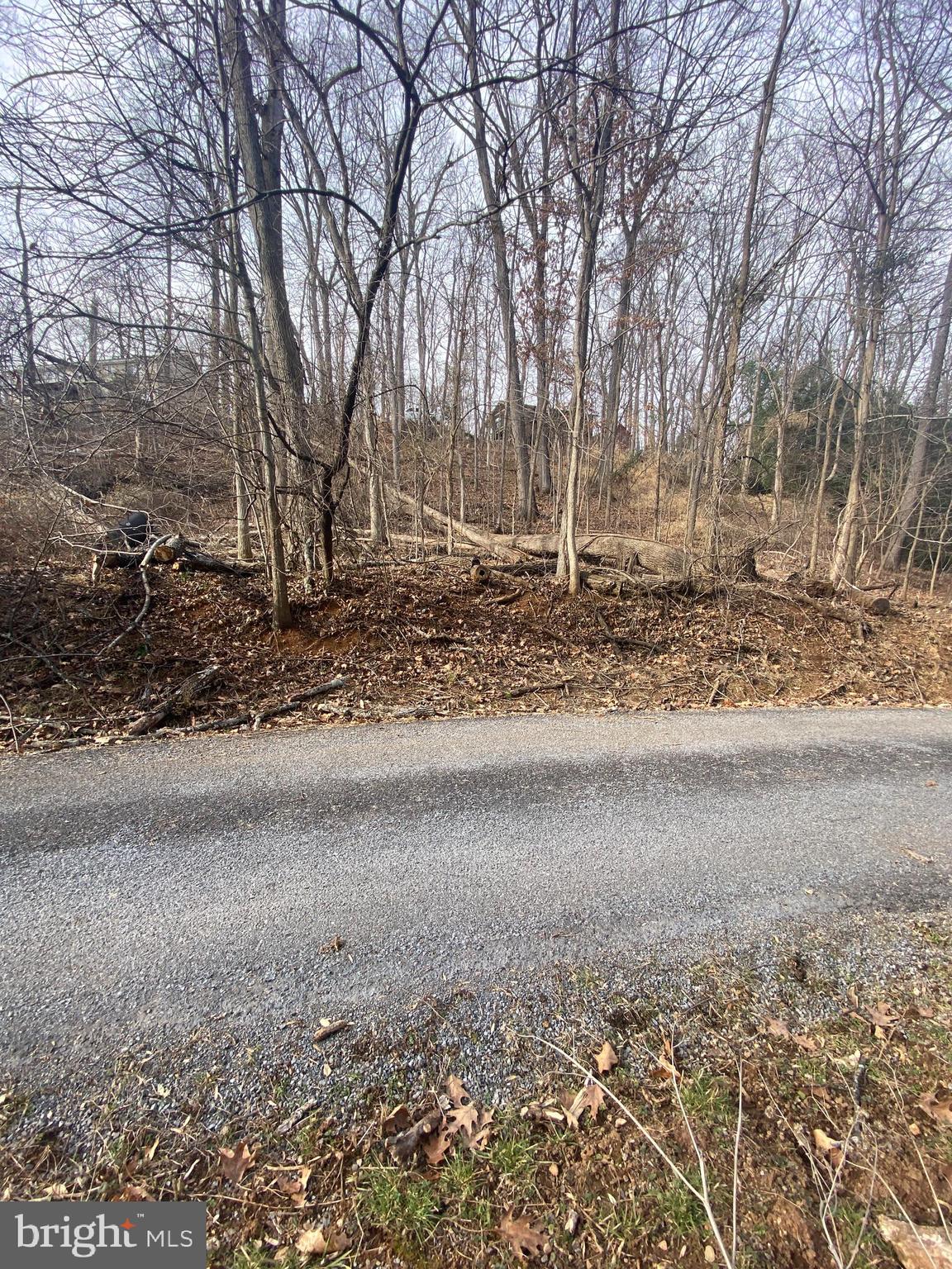 Easy Hollow Road Front Royal, VA 22630 - Photo 2 of 2