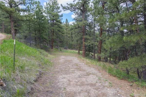 $699,000 | 3600 Blue Mountain Trail, Loveland, CO 80537
