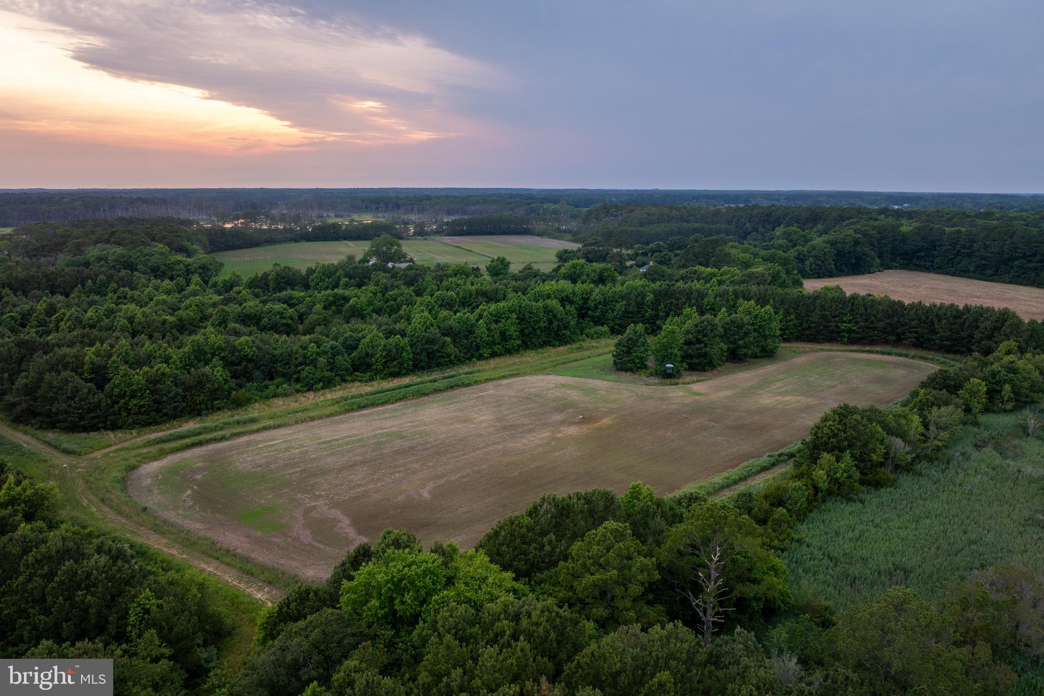 8416 Burbage Road Berlin, MD 21811 - Photo 15 of 70