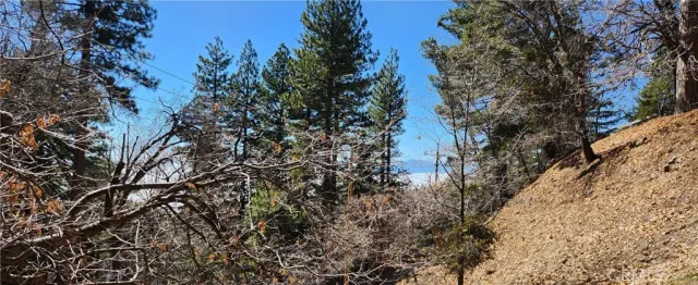 a backyard of a house with lots of trees