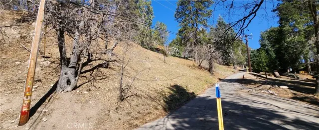 a view of a yard with trees