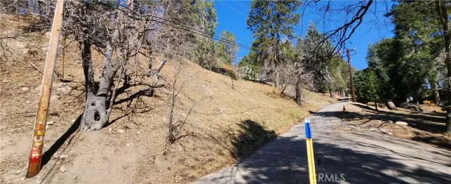 a view of a yard with trees