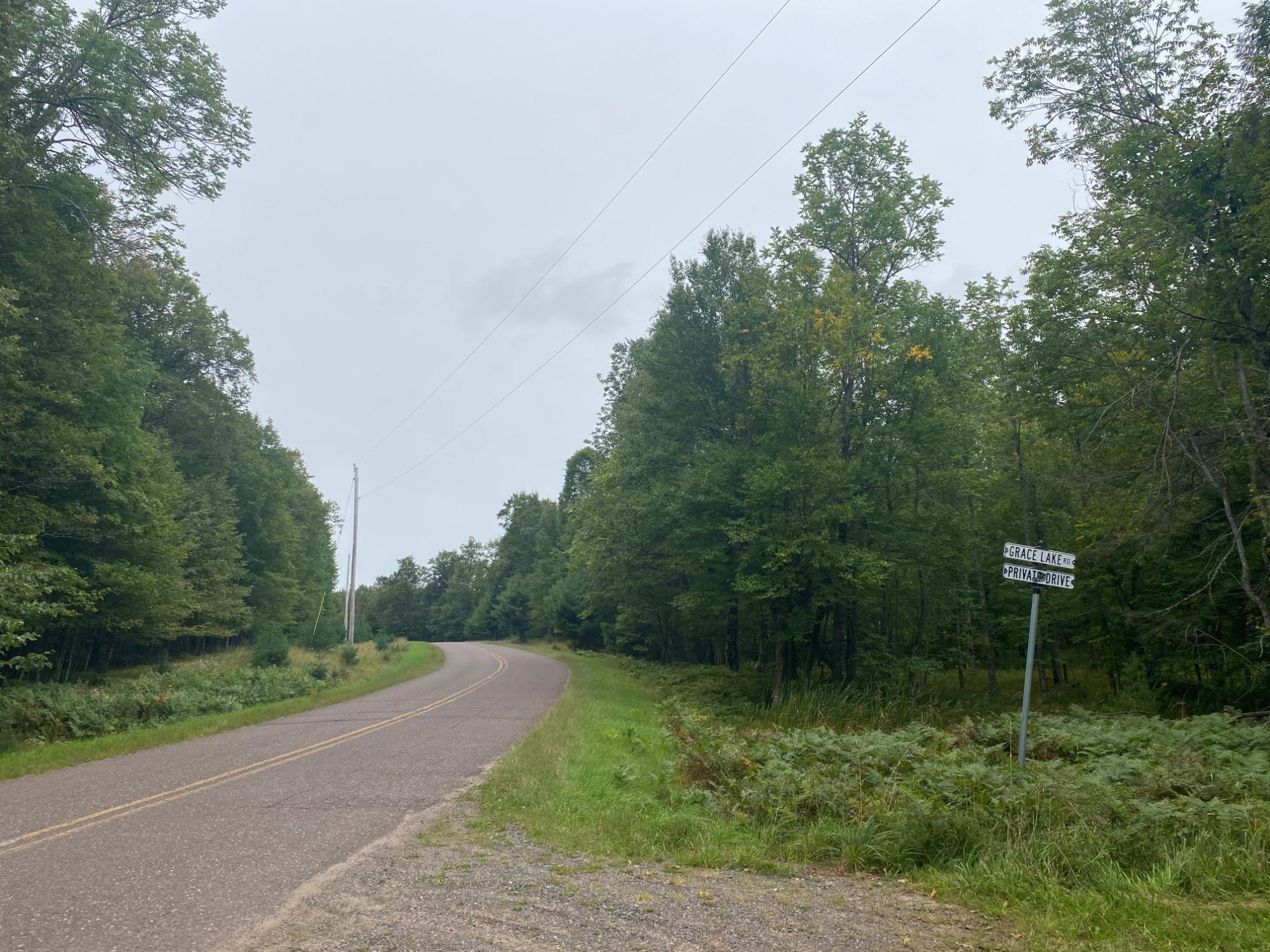 Off Grace Lake Road, Unit LOT 12 Watersmeet, MI 49969 - Photo 4 of 9 Gallery Image 4