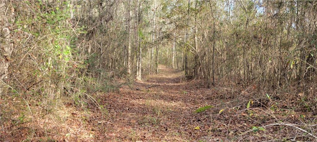 76555 Wilson Road Kentwood, LA 70444 - Photo 11 of 38