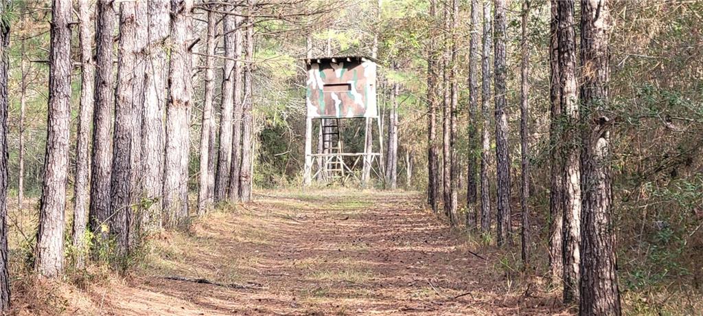 76555 Wilson Road Kentwood, LA 70444 - Photo 12 of 38