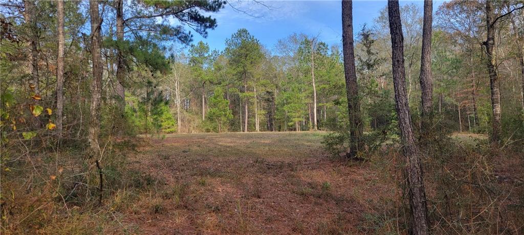 76555 Wilson Road Kentwood, LA 70444 - Photo 13 of 38