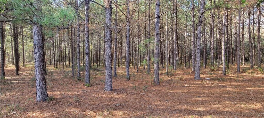 76555 Wilson Road Kentwood, LA 70444 - Photo 14 of 38