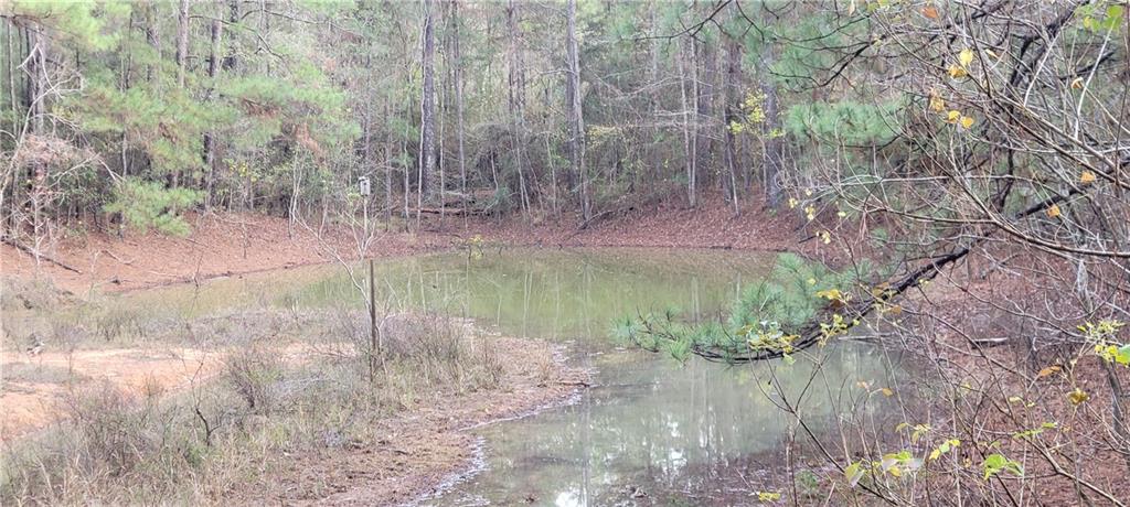 76555 Wilson Road Kentwood, LA 70444 - Photo 15 of 38