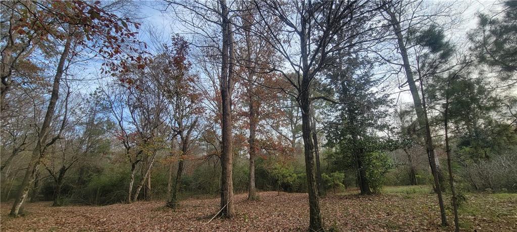 76555 Wilson Road Kentwood, LA 70444 - Photo 16 of 38