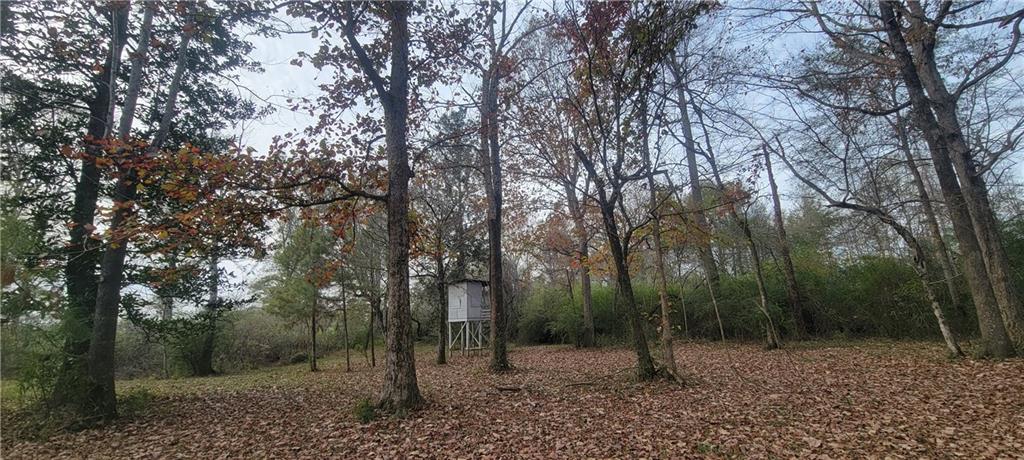 76555 Wilson Road Kentwood, LA 70444 - Photo 17 of 38