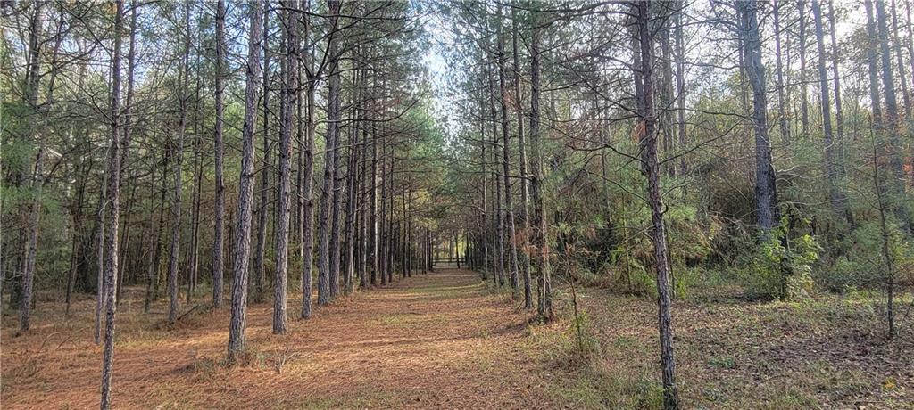 76555 Wilson Road Kentwood, LA 70444 - Photo 19 of 38