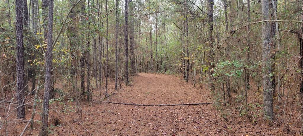 76555 Wilson Road Kentwood, LA 70444 - Photo 20 of 38