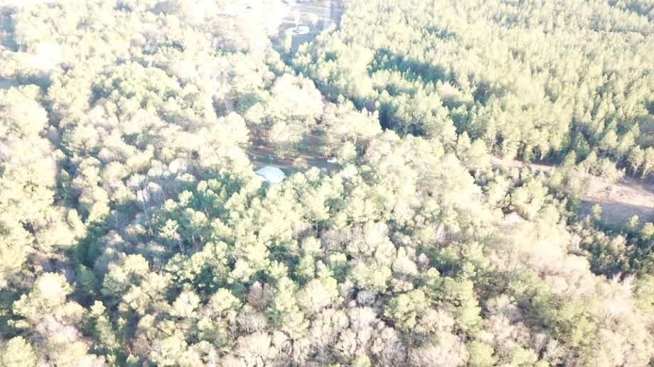 76555 Wilson Road Kentwood, LA 70444 - Photo 2 of 38