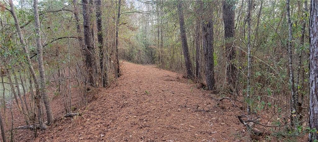 76555 Wilson Road Kentwood, LA 70444 - Photo 21 of 38