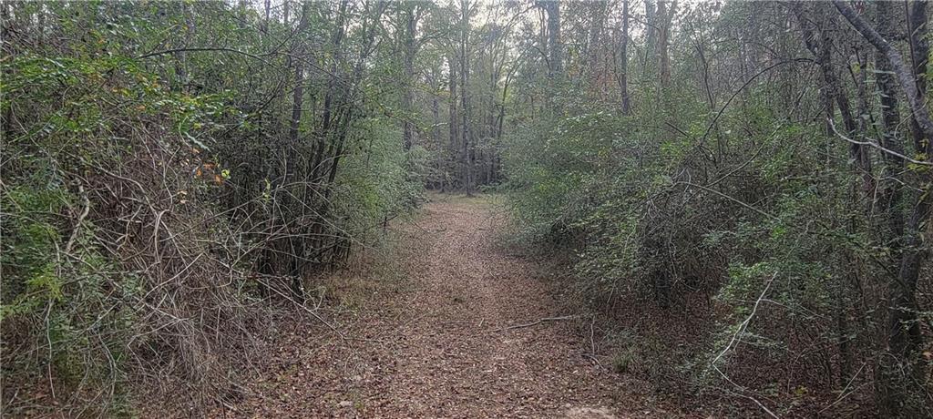 76555 Wilson Road Kentwood, LA 70444 - Photo 22 of 38