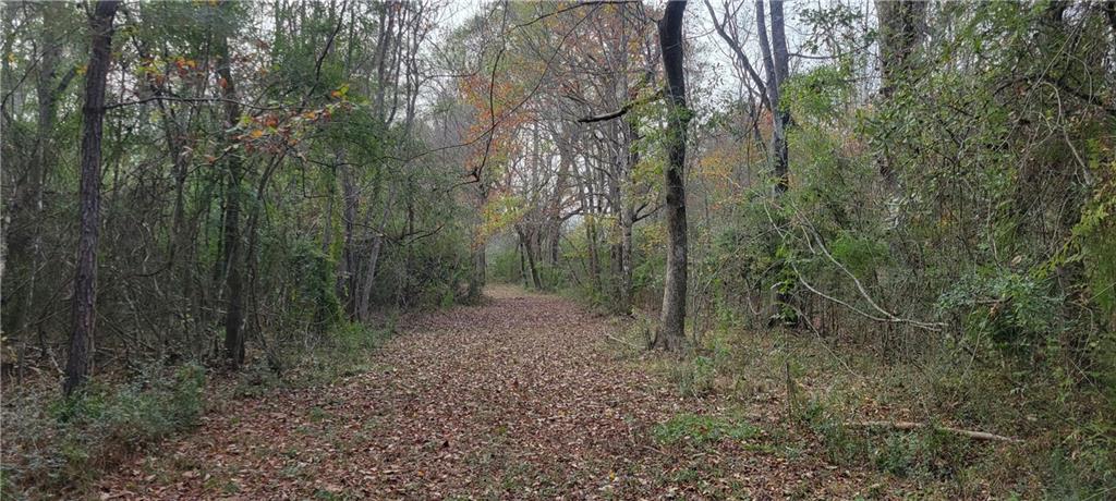 76555 Wilson Road Kentwood, LA 70444 - Photo 23 of 38