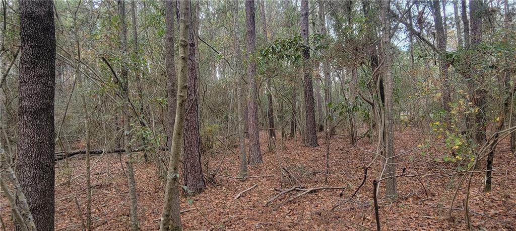 76555 Wilson Road Kentwood, LA 70444 - Photo 24 of 38