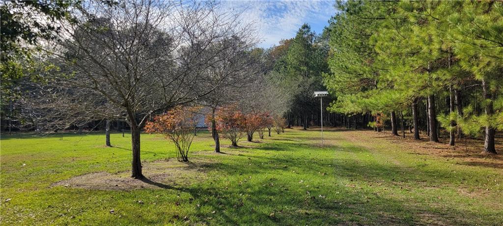 76555 Wilson Road Kentwood, LA 70444 - Photo 27 of 38