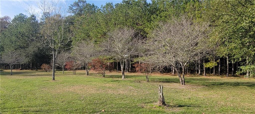 76555 Wilson Road Kentwood, LA 70444 - Photo 29 of 38